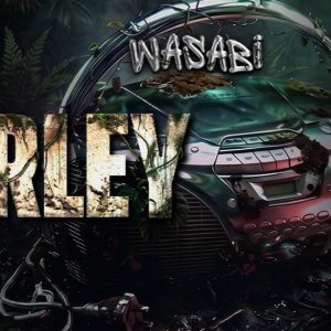 29.5 WASABI FEST en Temperley - Auditorio Sur
