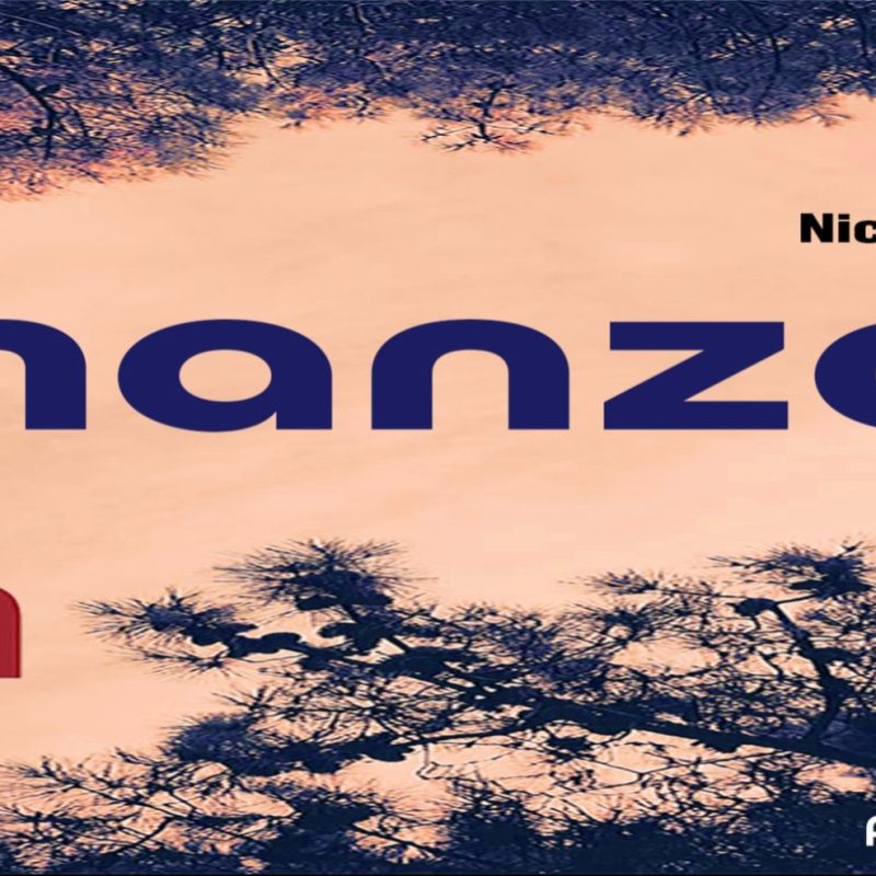 Manzo en vivo en Niceto Bar