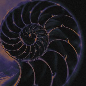 OIR: Montaje Sonoro